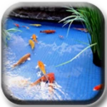 koi fish pond ii android application logo